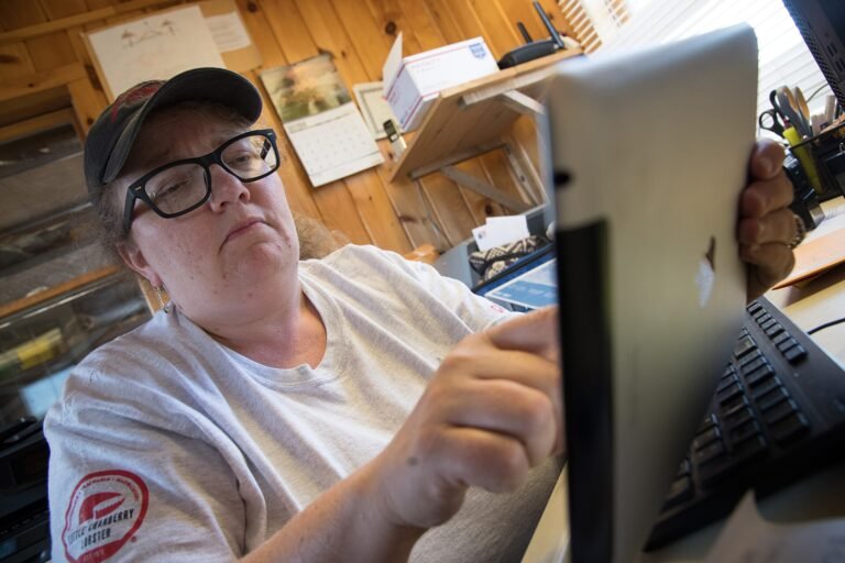 Broadband - Cranberry Isles Surf the Internet (20180710-RD-LSC-1154)
